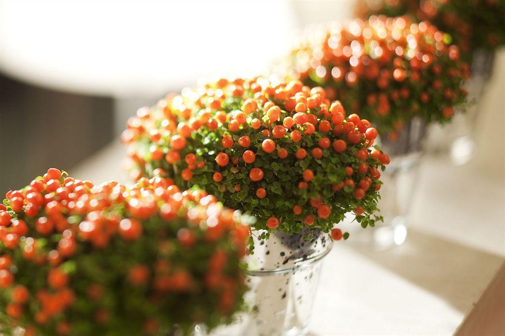 Eiffel Turenne 3* Paris